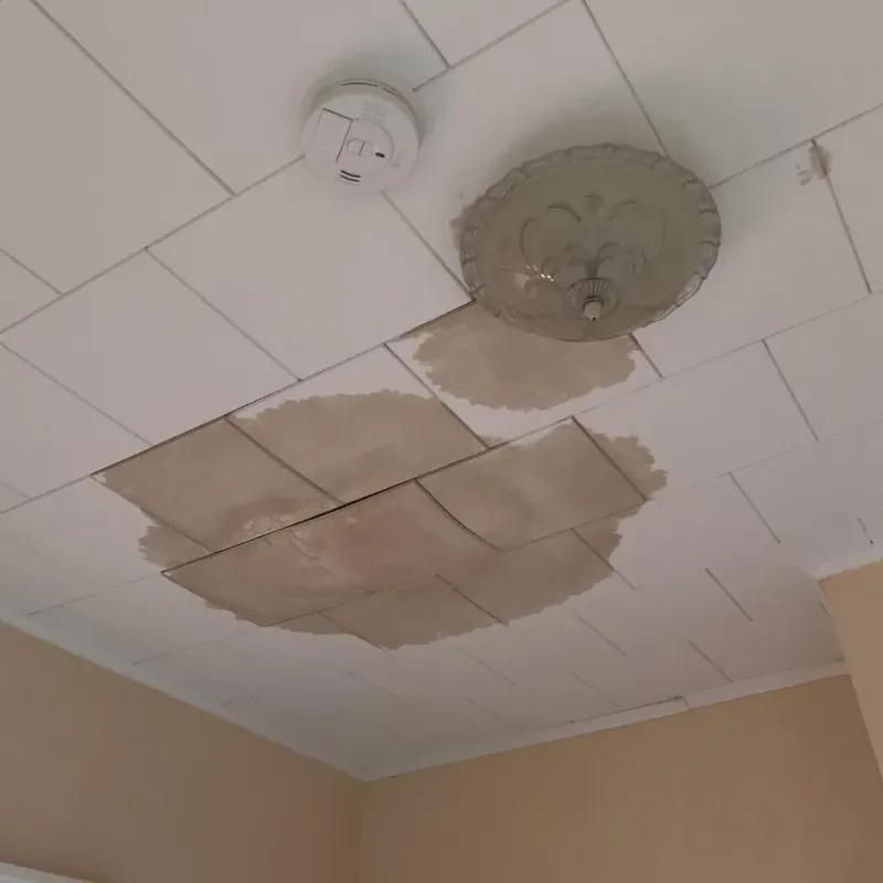 Ceiling Water Damage Repair in South Boston, VA