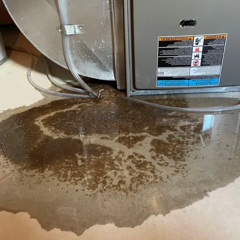 Pipe Burst and Leak Restoration in South Boston, VA