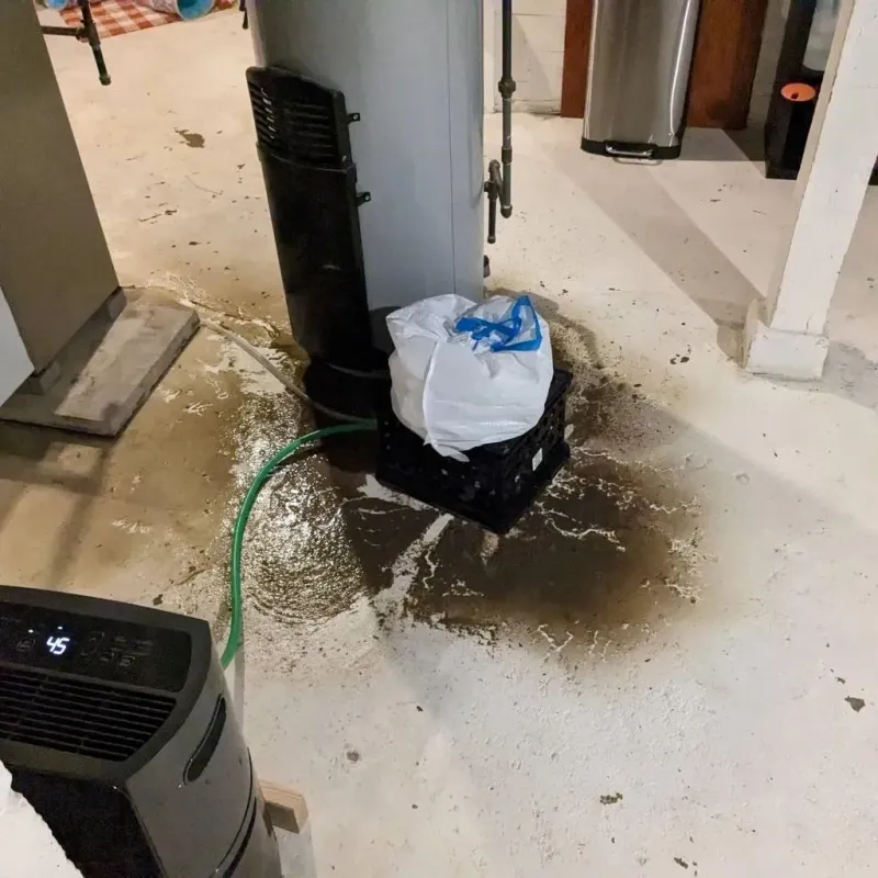 Sewage Backup Cleanup Service in South Boston, VA